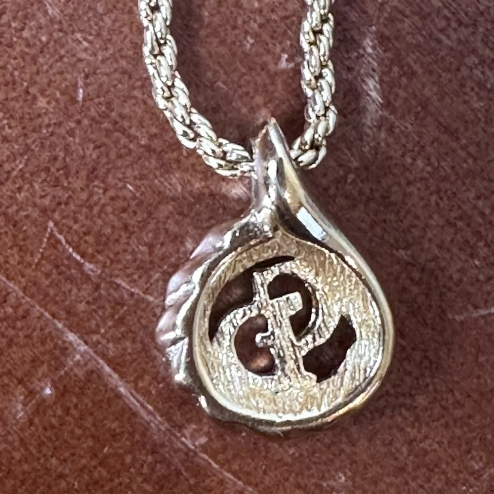 Christian Dior Necklace Pendant
CD Logo - Picture 9 of 10